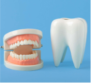 Dr Ben Underwood in Warren Michigan