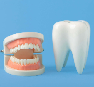 Dr Ben Underwood in Warren Michigan