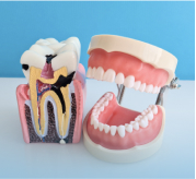 Dr Ben Underwood in Warren Michigan