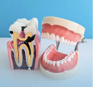 Dr Ben Underwood in Warren Michigan